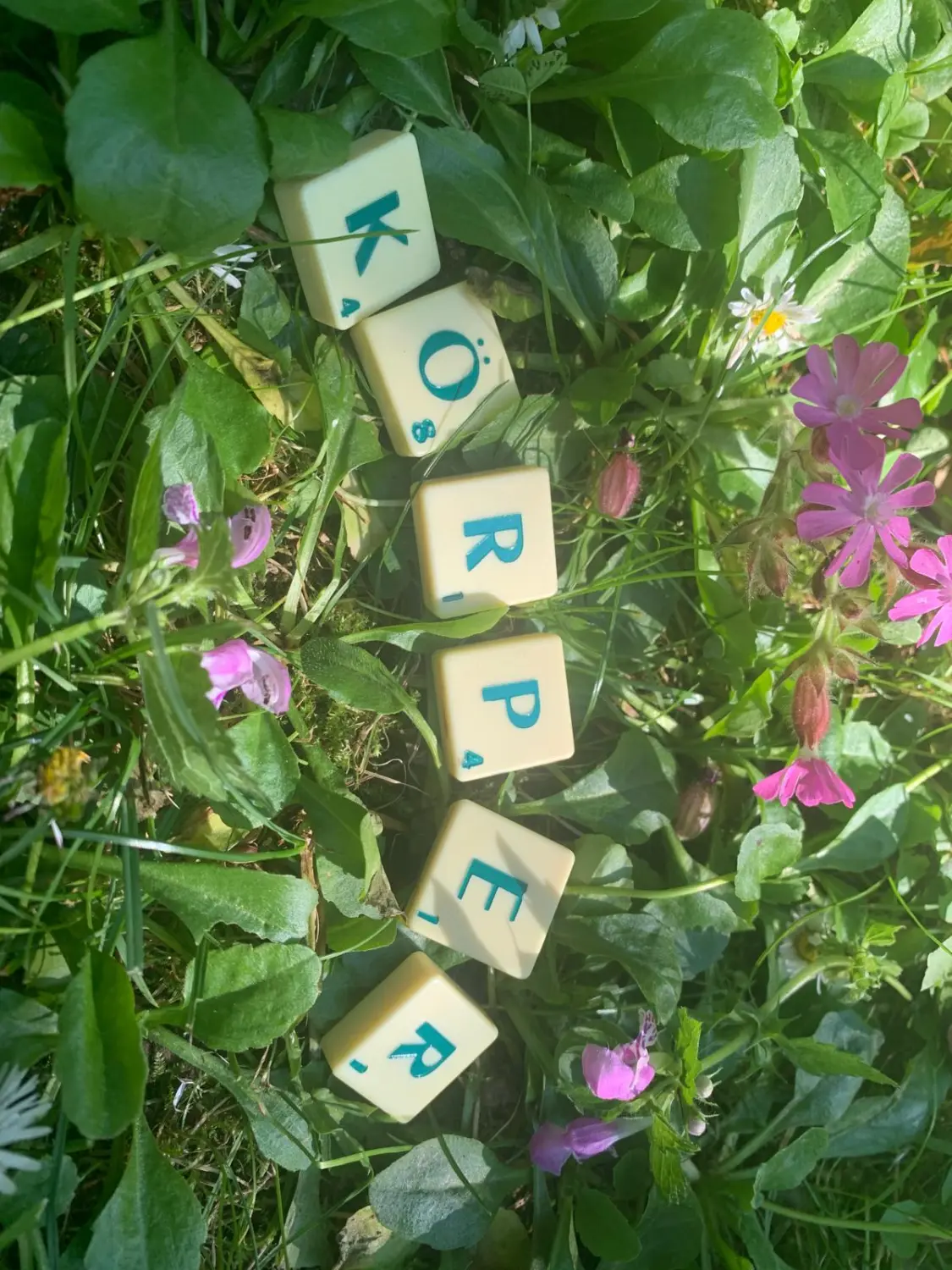 Körperorientierte Psychotherapie von Erfahrungsfelder - Ramona Hahn